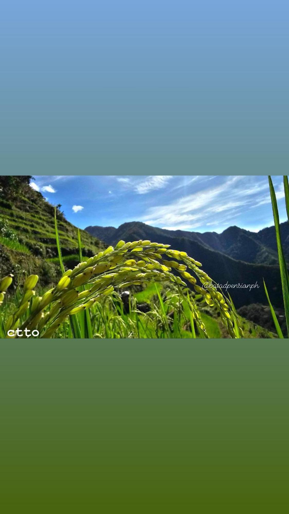 Batad Pension Ph Banaue Exterior foto